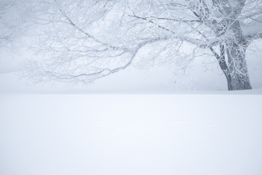 965350 (a): :2048x1365